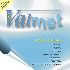 Valmet 2006